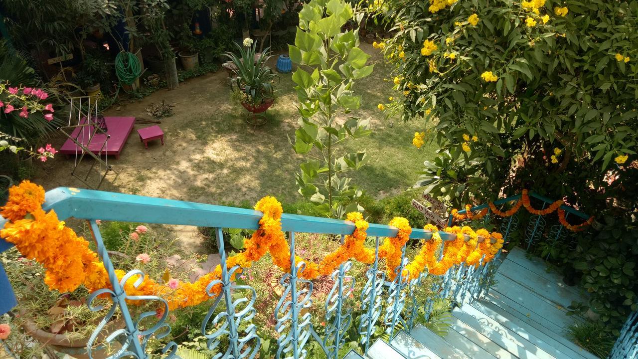 The Coral Tree Boutique Homestay Agra  Exteriör bild