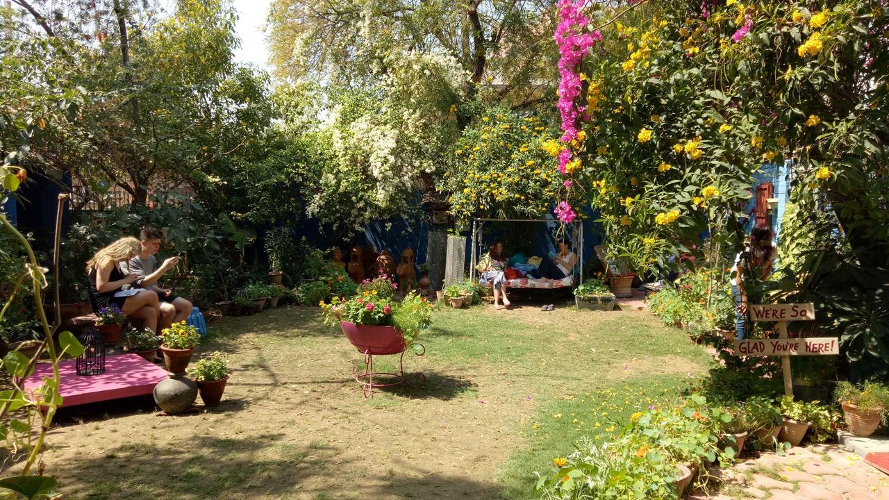 The Coral Tree Boutique Homestay Agra  Exteriör bild