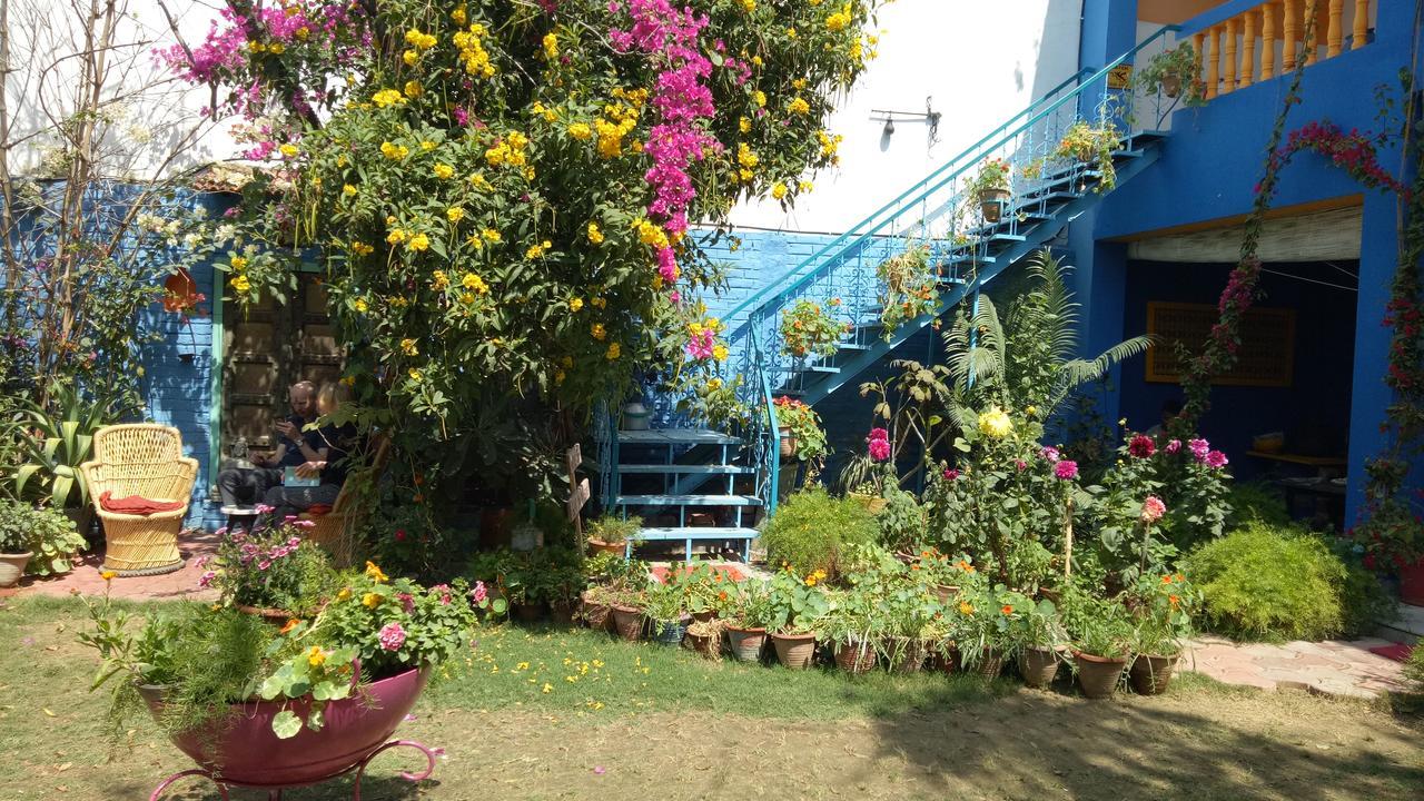 The Coral Tree Boutique Homestay Agra  Exteriör bild